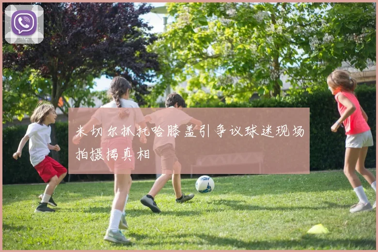 米切尔抓托哈膝盖引争议球迷现场拍摄揭真相