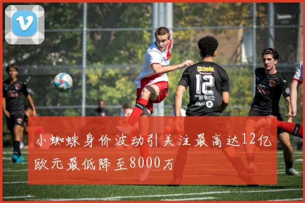 小蜘蛛身价波动引关注最高达12亿欧元最低降至8000万